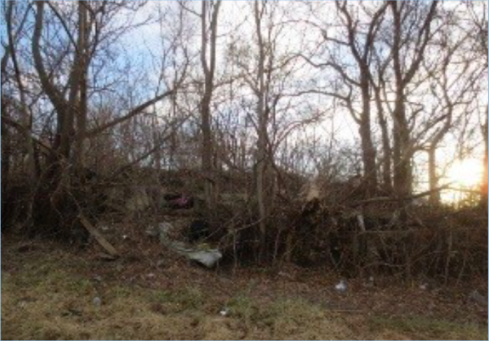 17280 Dequindre St 48212 Property